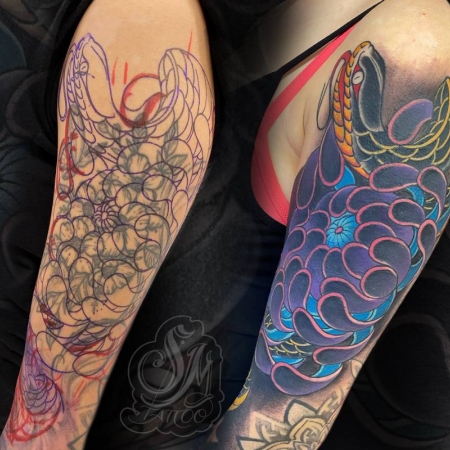 Coverup11